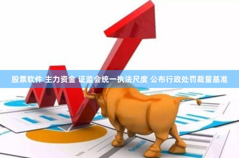 股票软件 主力资金 证监会统一执法尺度 公布行政处罚裁量基准