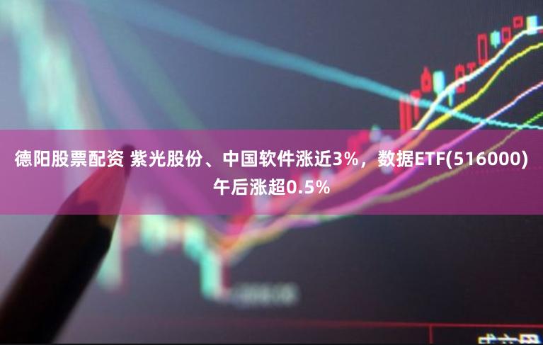 德阳股票配资 紫光股份、中国软件涨近3%，数据ETF(516000)午后涨超0.5%